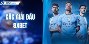 Các giải đấu 8XBET